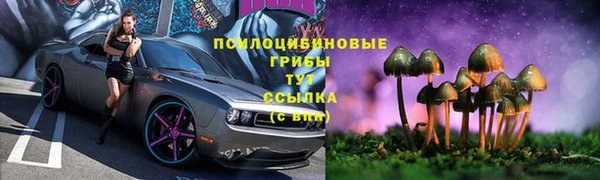 гидра Бронницы