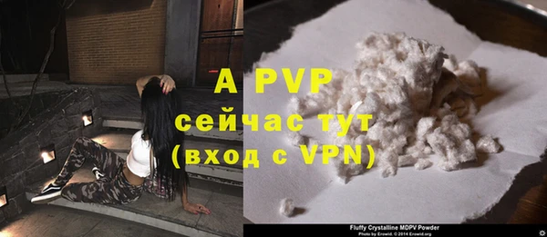 гидра Бронницы