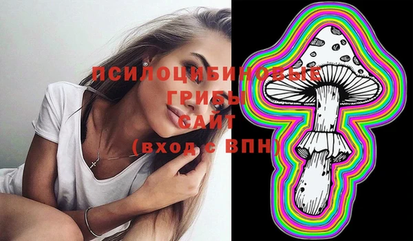 крисы Богданович