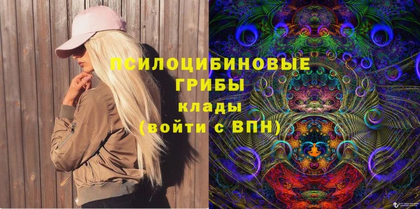 крисы Богданович
