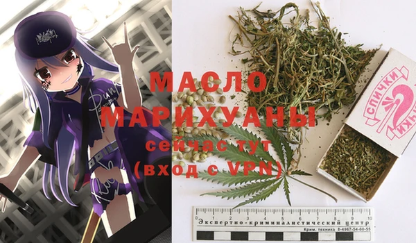 гидра Бронницы